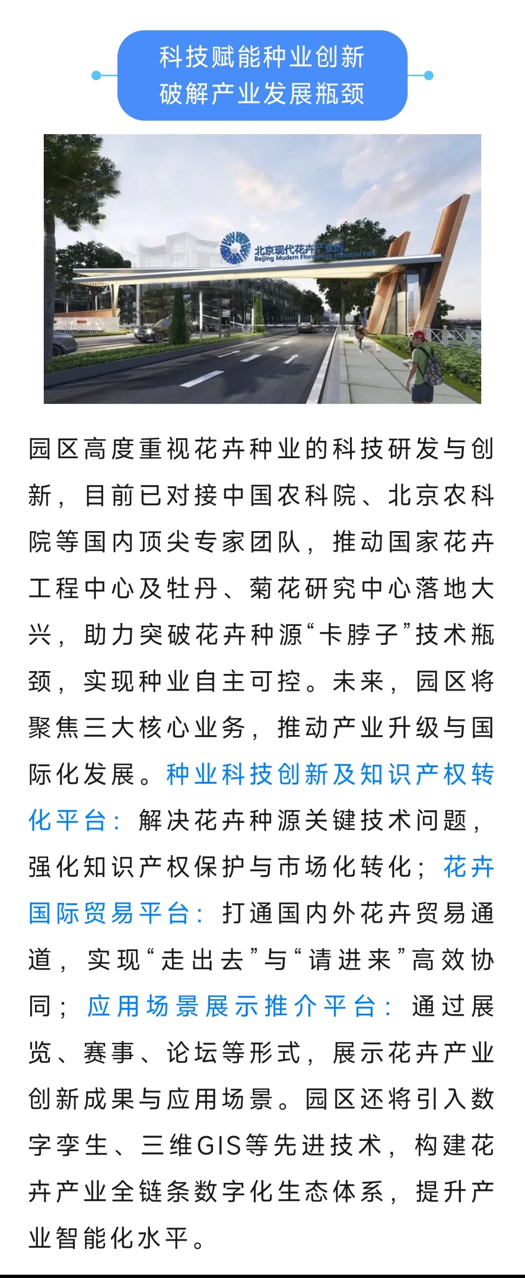北京最大规模，大兴打造国际花卉产业带