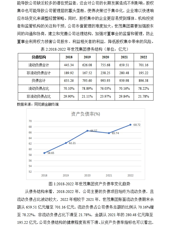 世贸集团股权融资财务分析