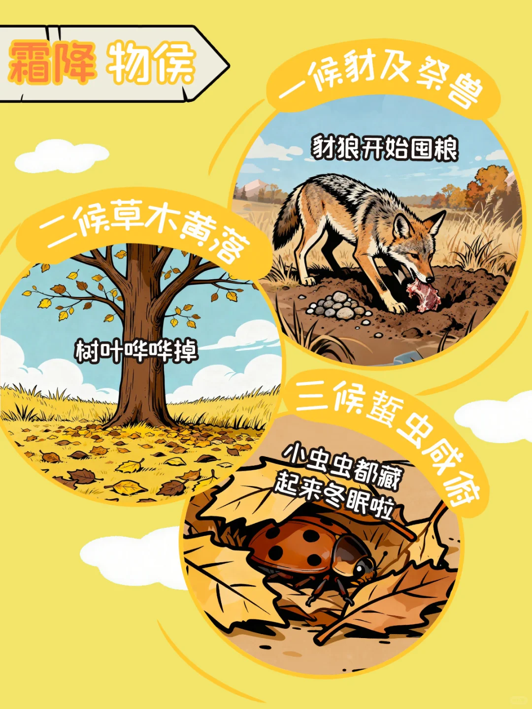 ??|南银法巴节气研究所 | 霜降