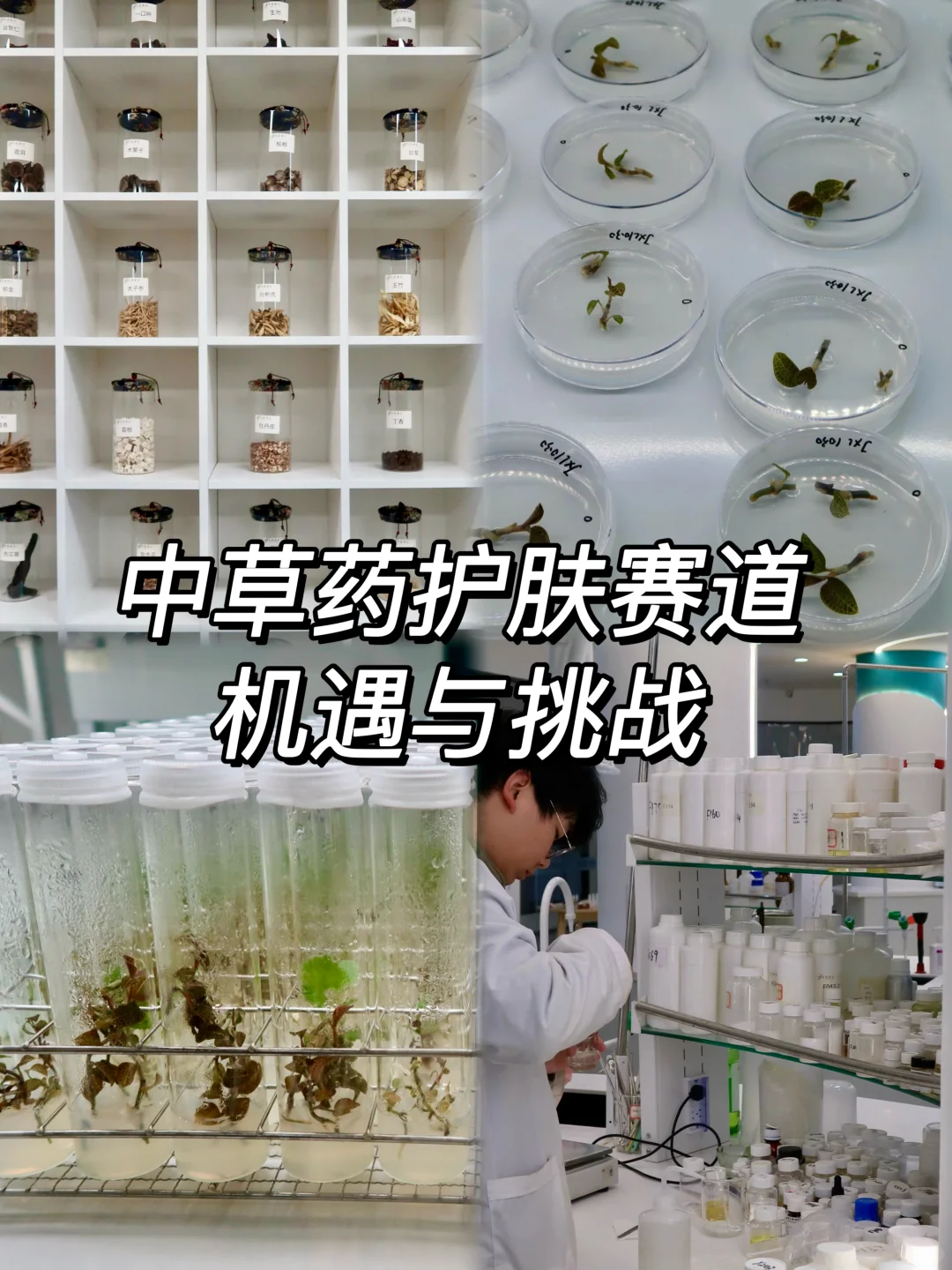 美妆行业品牌人思考:植物中药护肤的未来