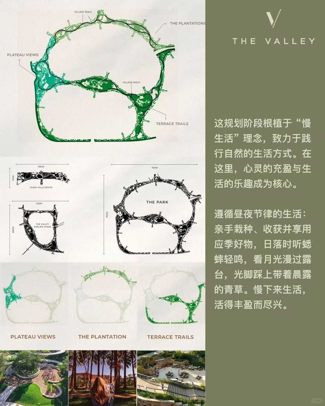 在迪拜什么样房子能赚??