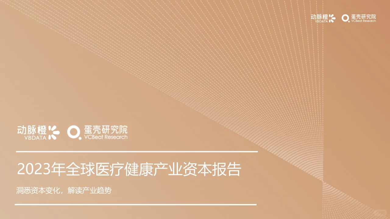 2023年全球医疗健康投融资分析报告