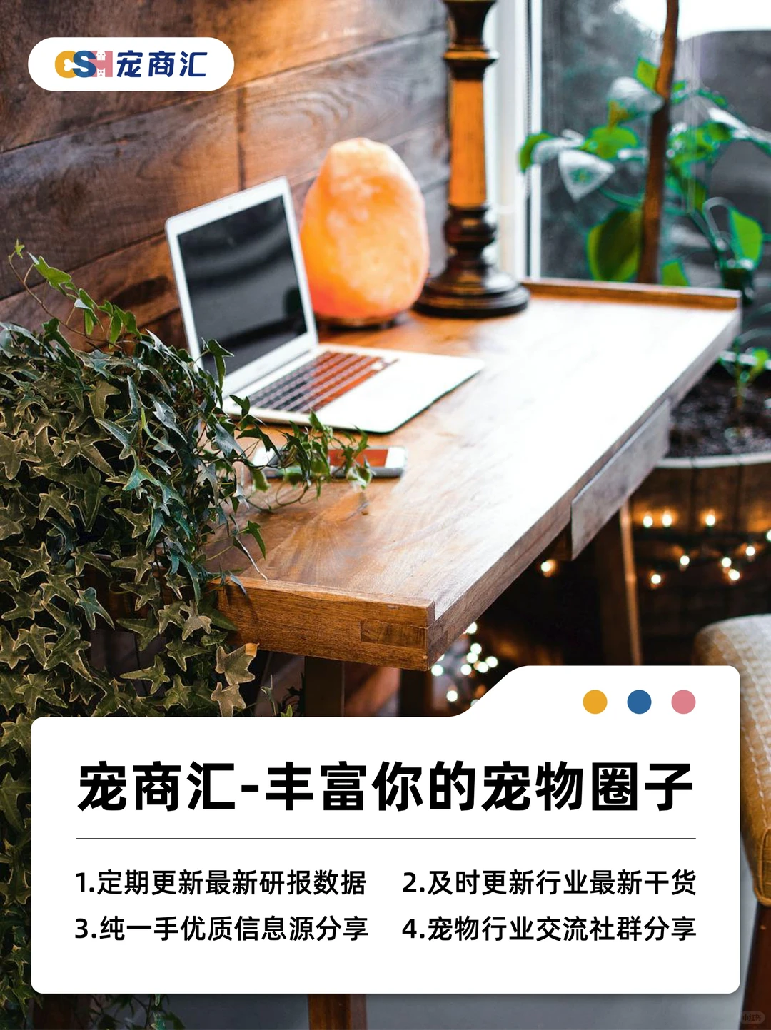 2023年宠物行业投融资情况明细汇总