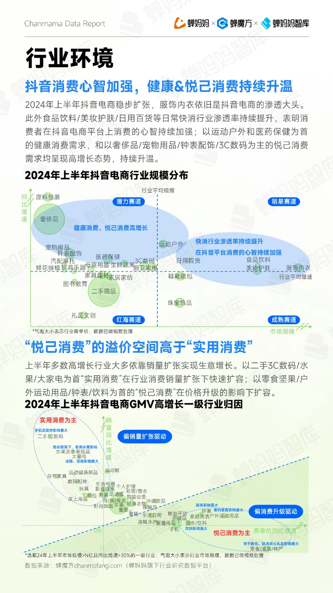 54页报告|2024抖音电商半年报