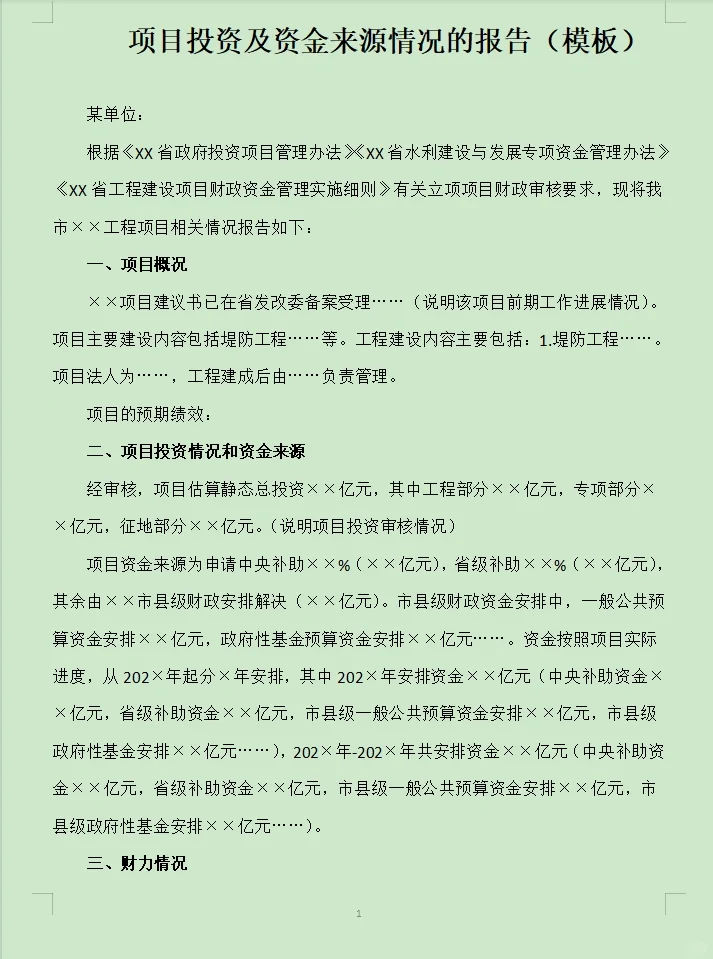 项目投资及资金来源情况的报告（模板）