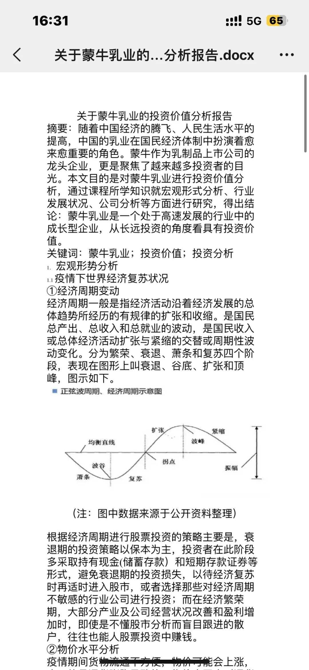 投资分析报告