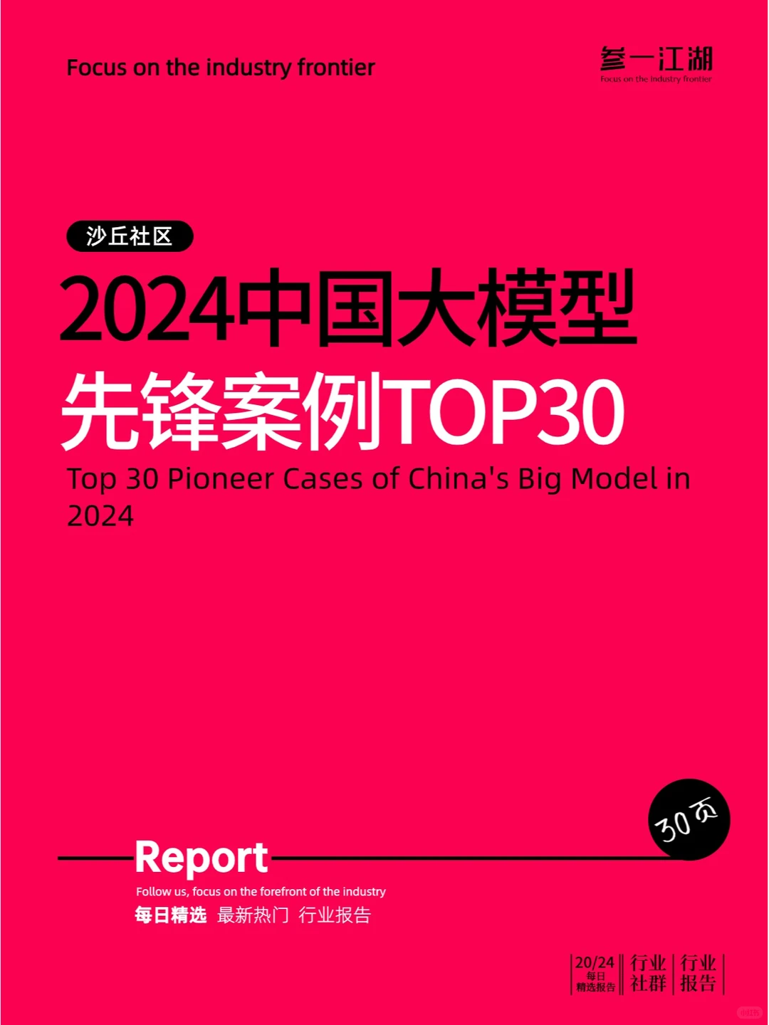2024中国大模型先锋案例TOP30