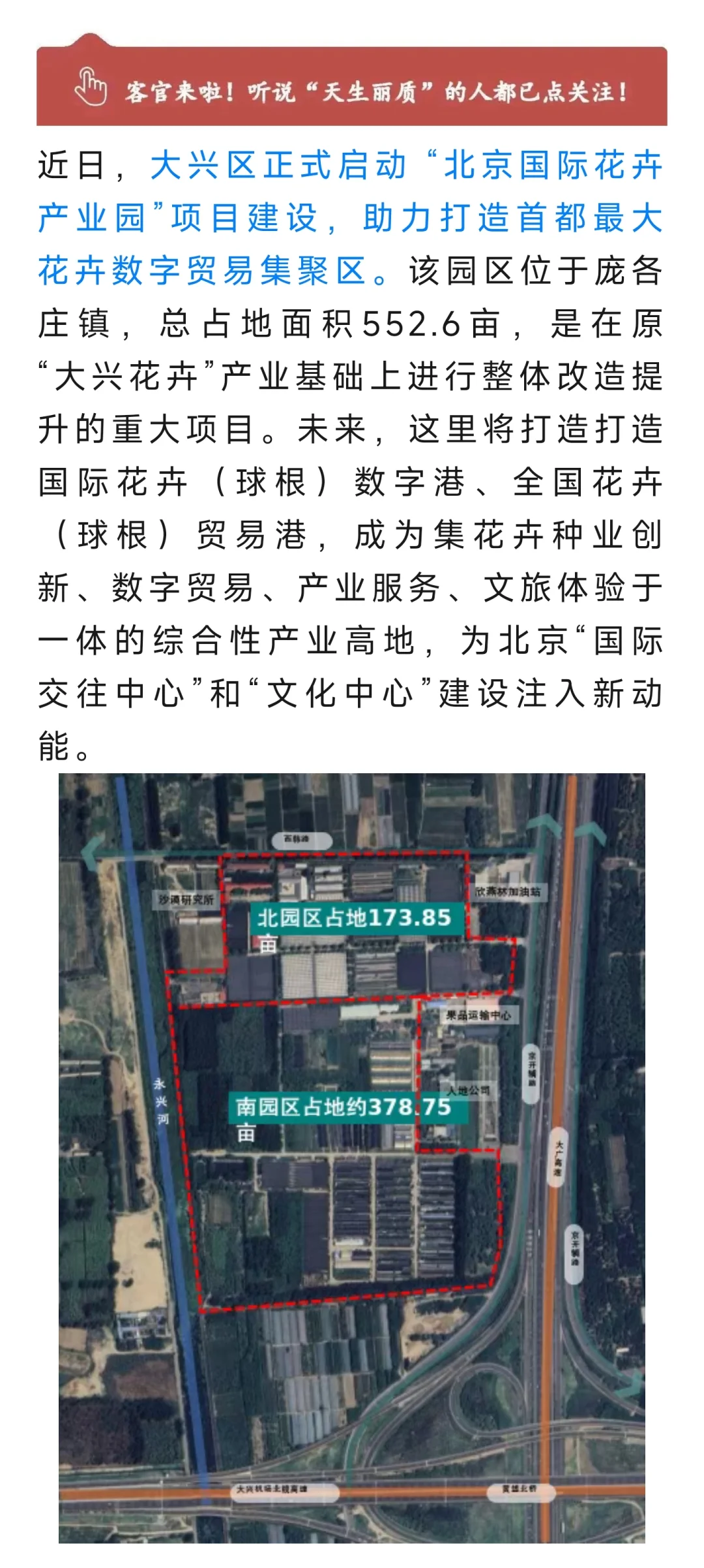 北京最大规模，大兴打造国际花卉产业带