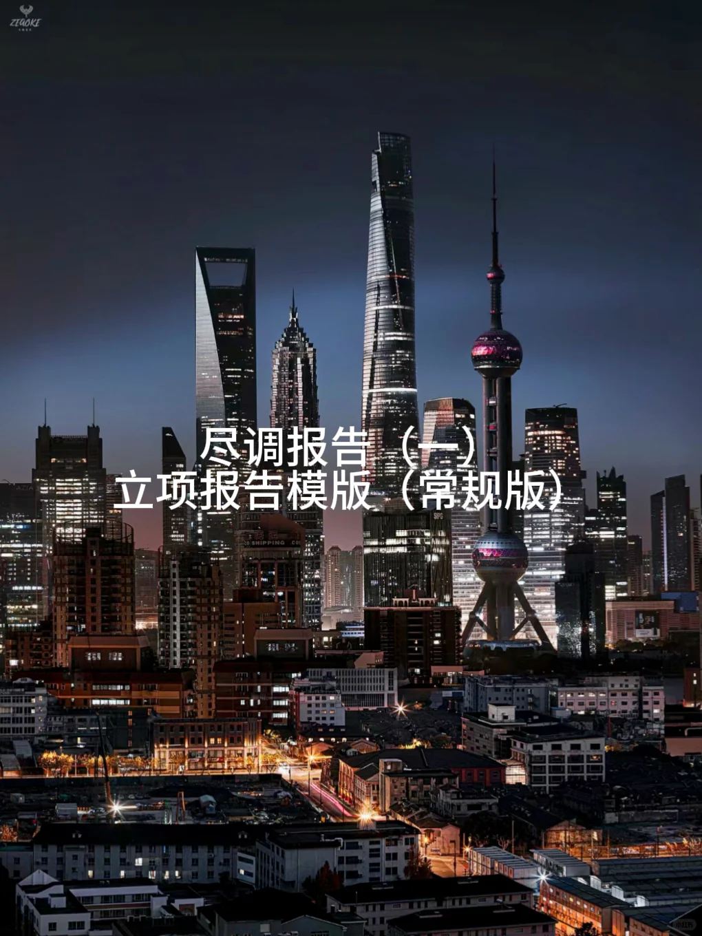 尽调报告(一)立项报告模版
