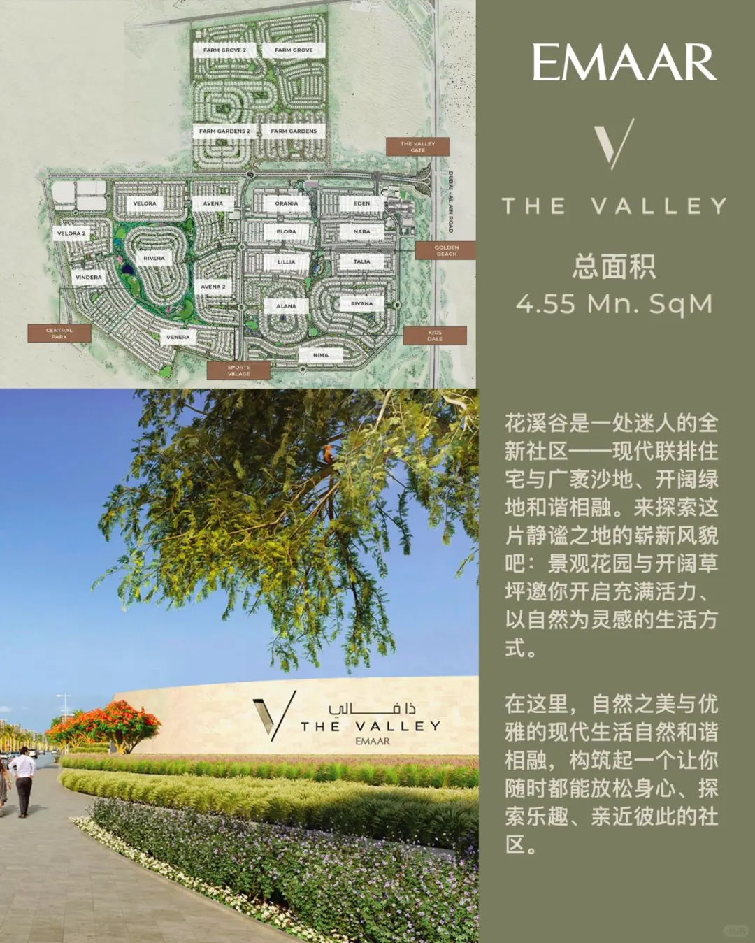 在迪拜什么样房子能赚??