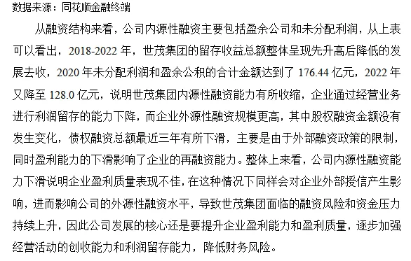 世贸集团股权融资财务分析