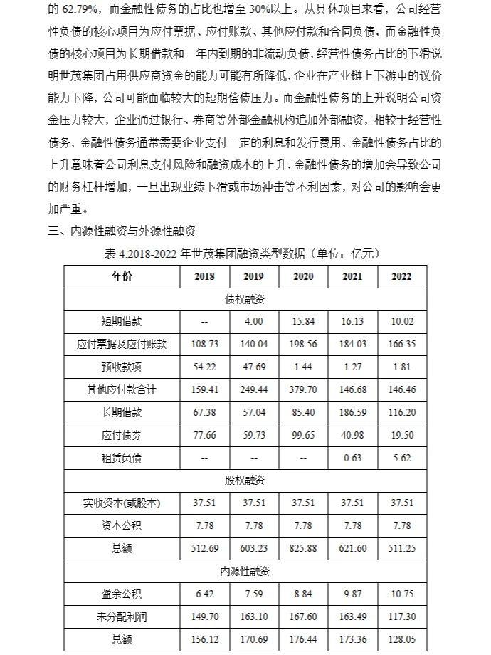 世贸集团股权融资财务分析