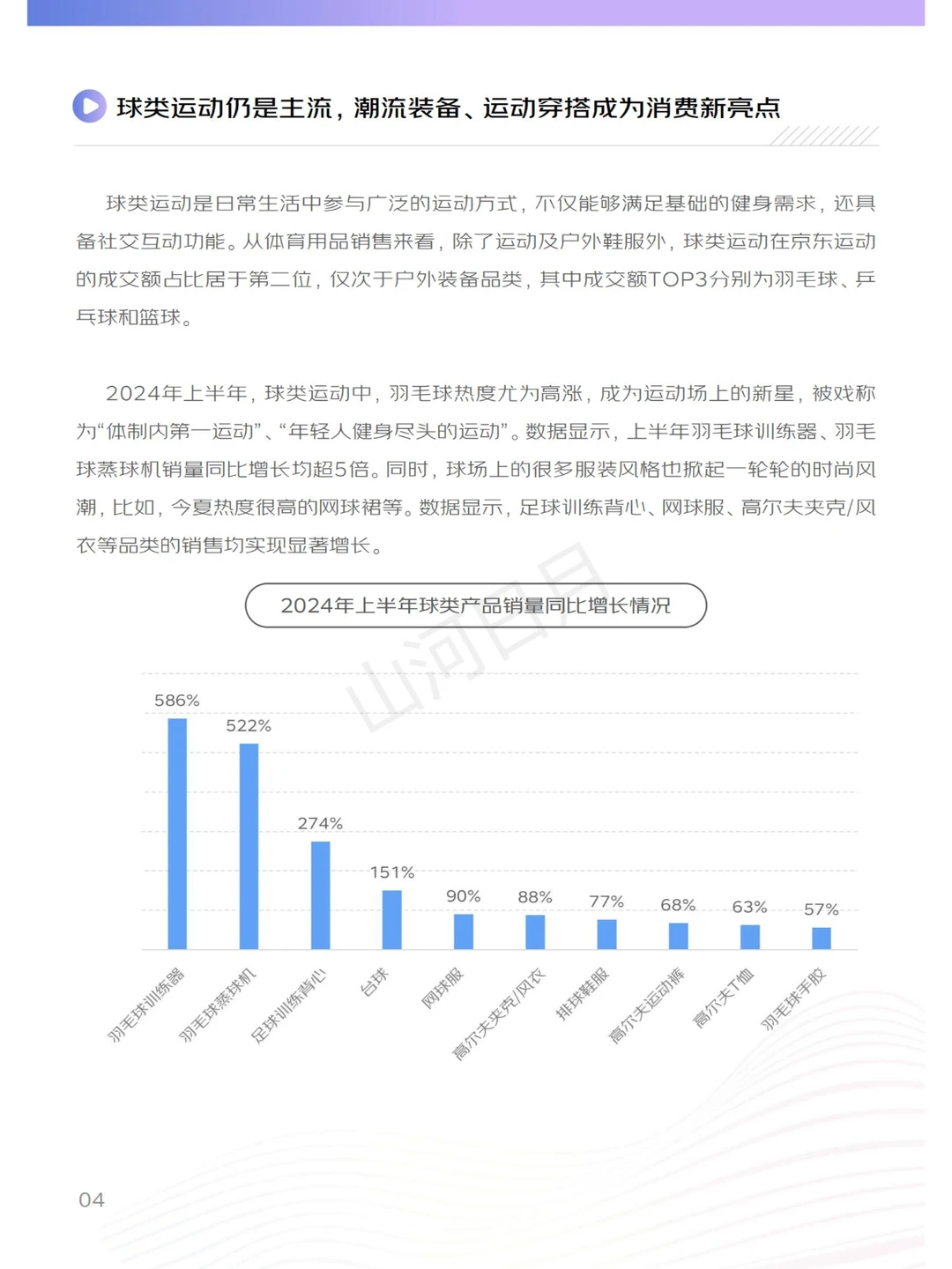 体育运动-2024上半年体育周边行业消费报告