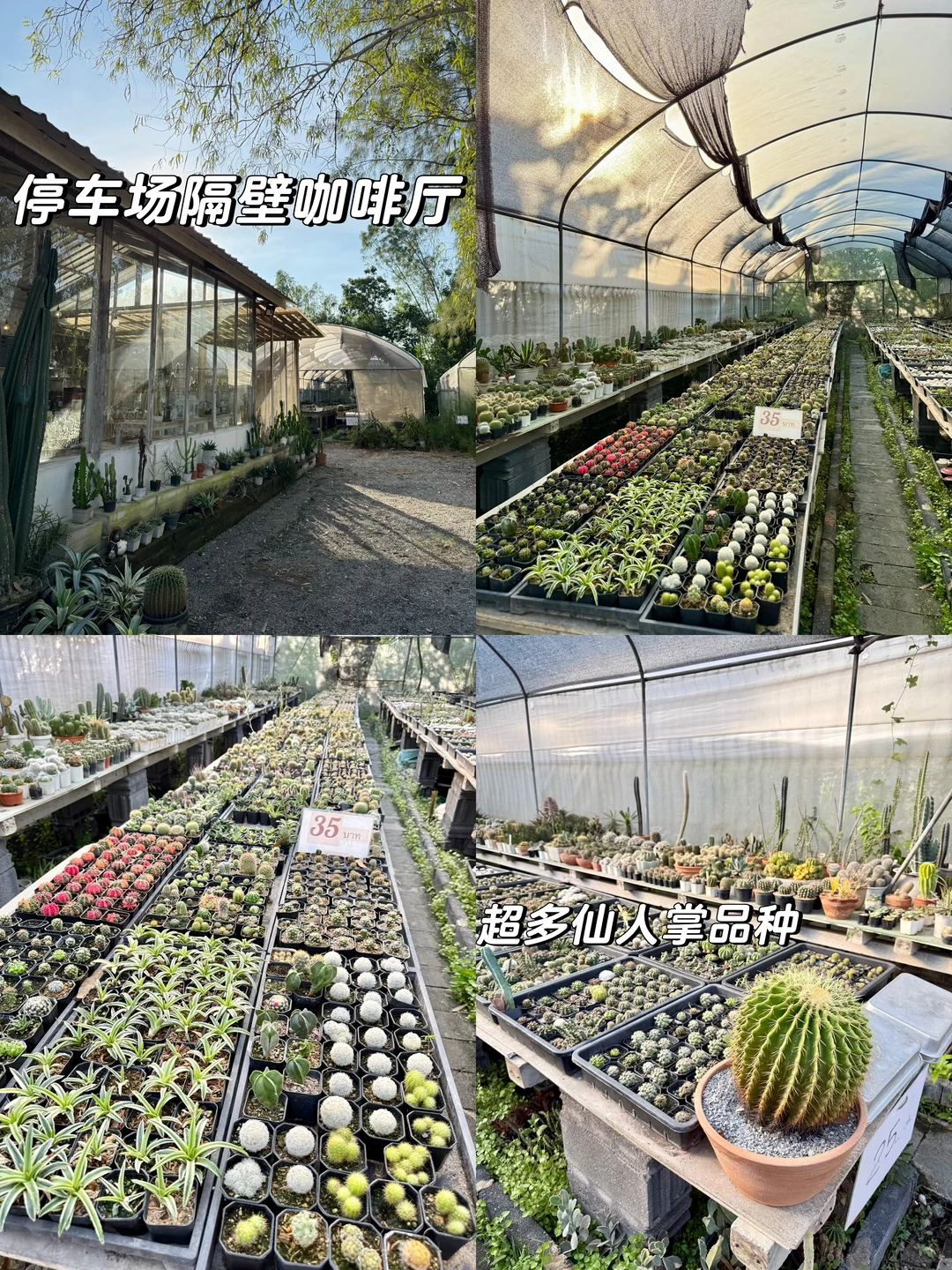 ??曼谷市区最近的水上市场 | 好吃又好逛!