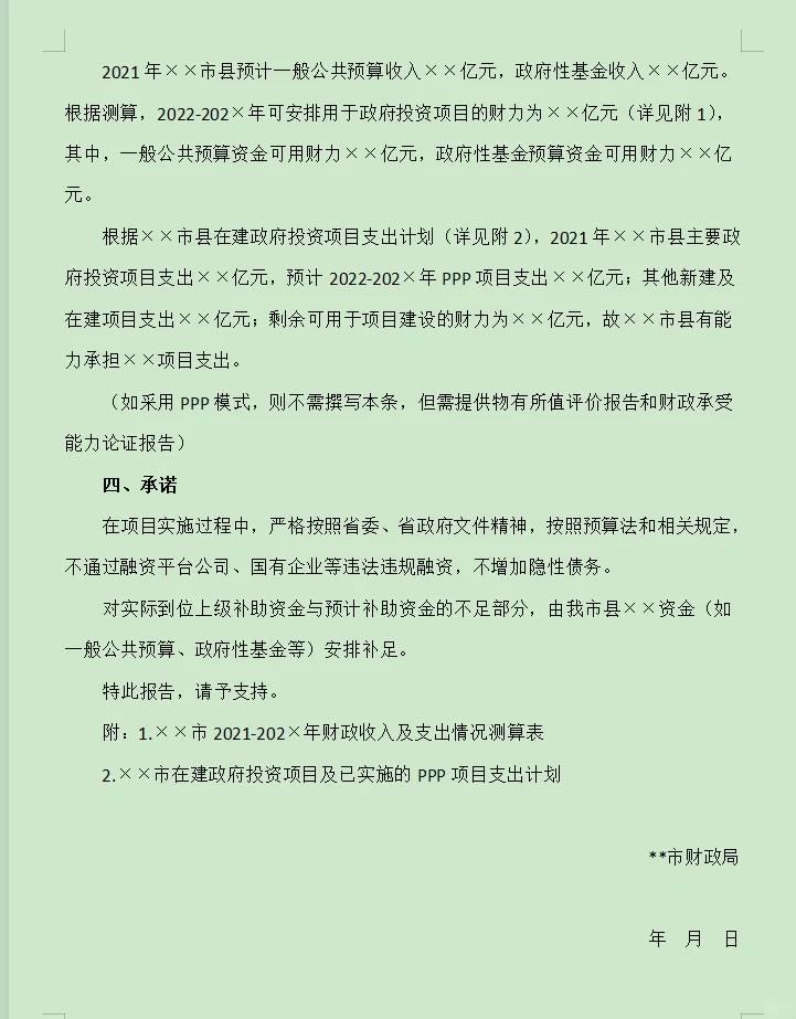 项目投资及资金来源情况的报告（模板）