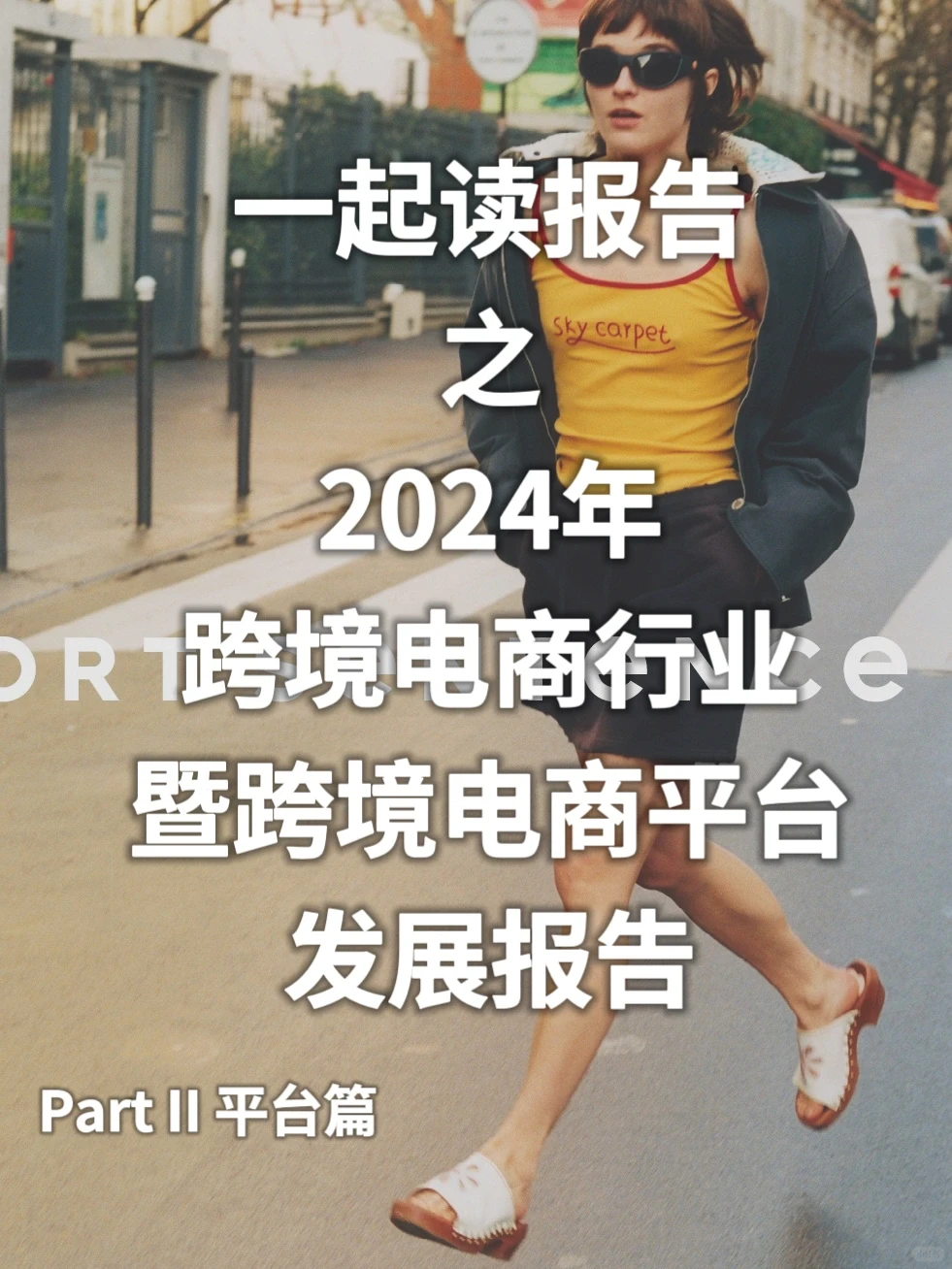 2024年跨境电商行业及平台发展报告(下)