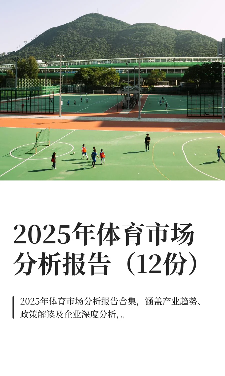 2025年体育市场分析报告（12份）
