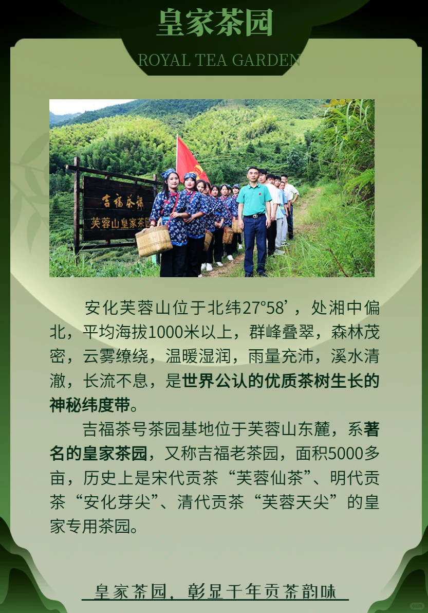 吉福金珠,驻华使节商务联盟指定茶礼!