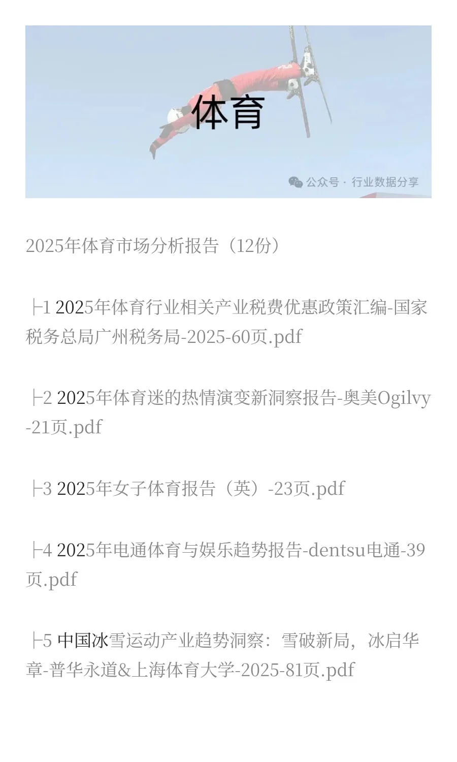 2025年体育市场分析报告（12份）