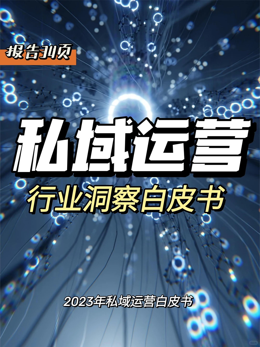 每日分享行业报告:私域运营白皮书