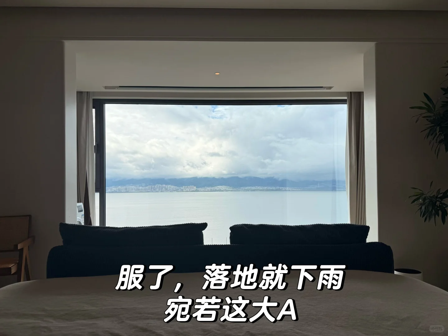 11.19 全球资产集体拉垮,原因找到了