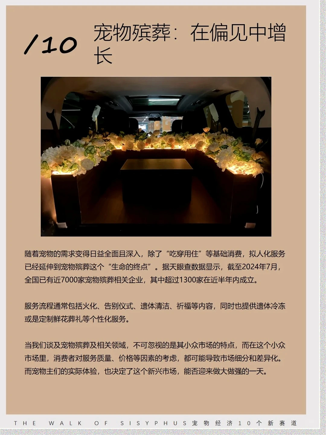 商业洞察|宠物10 个新赛道