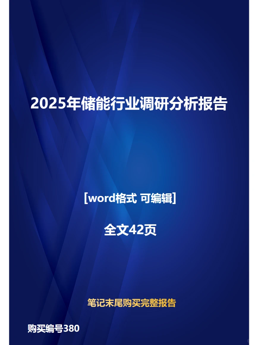 2025年储能行业调研分析报告
