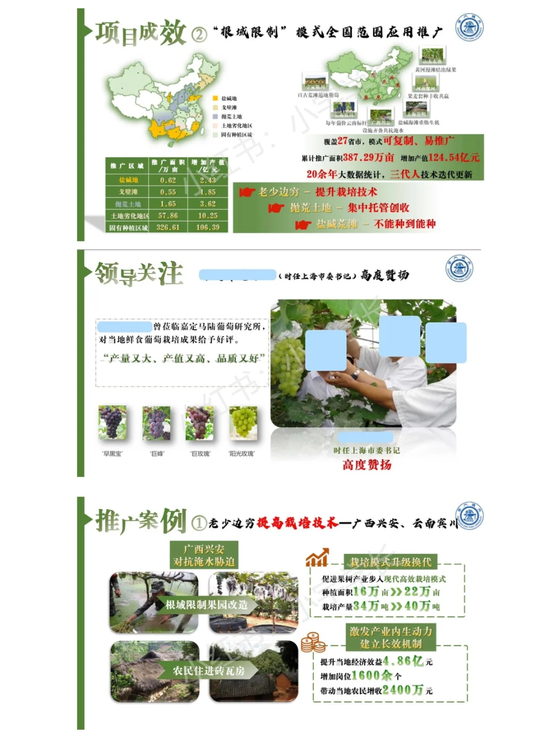 红旅赛道金奖项目｜国瑞葡?❗️