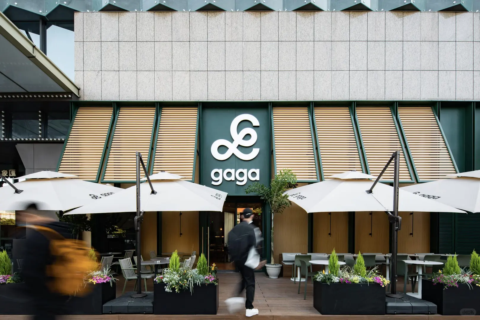 灵感采集|茶饮轻食LOGO设计分享