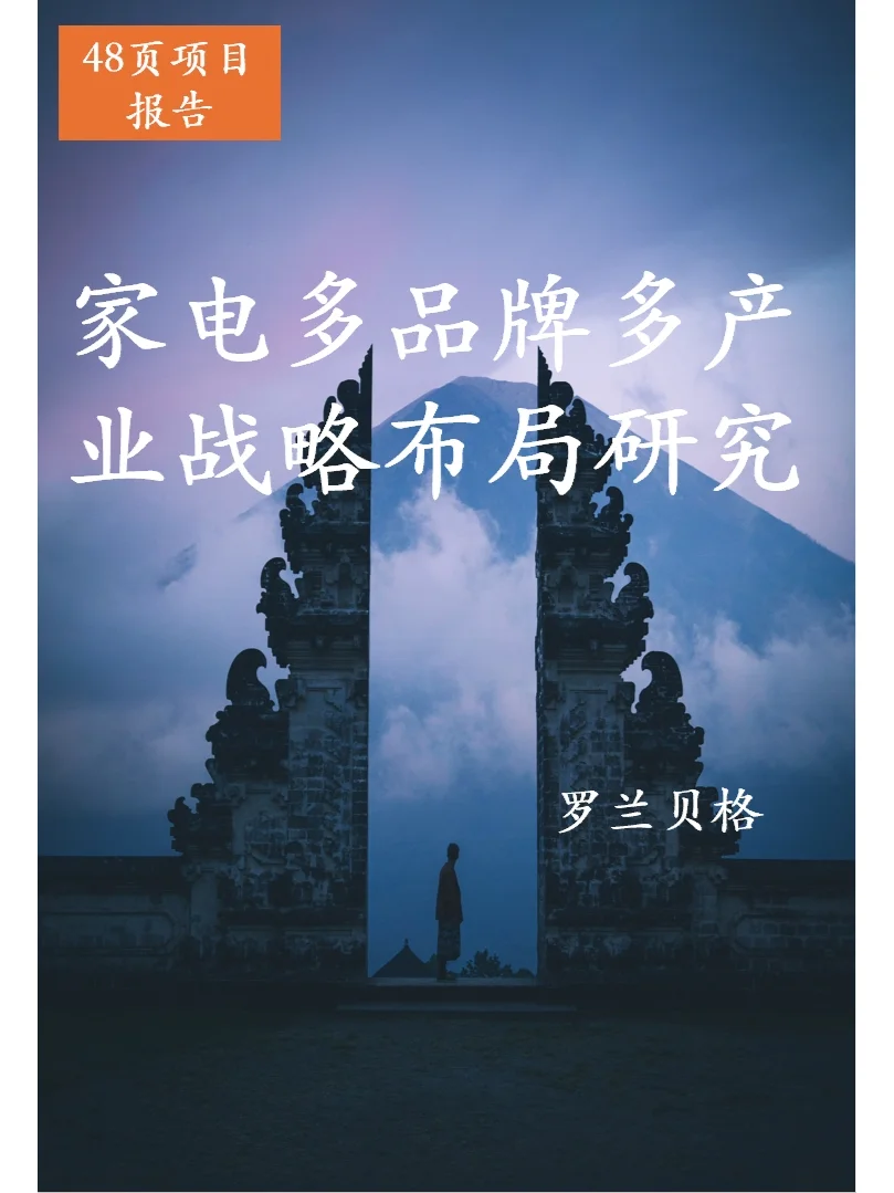 家电多品牌多产业战略布局研究项目报告