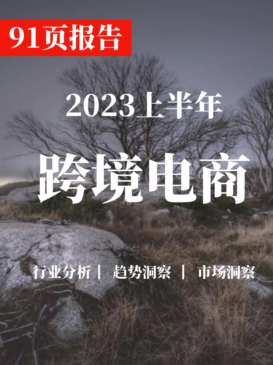 一文读懂2023上半年度跨境电商行业调研