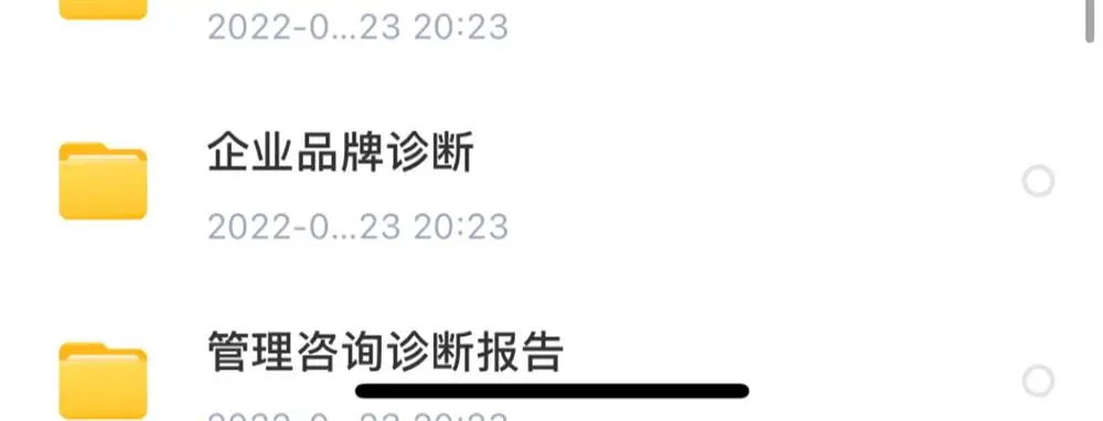 新企业战略诊断案例分享