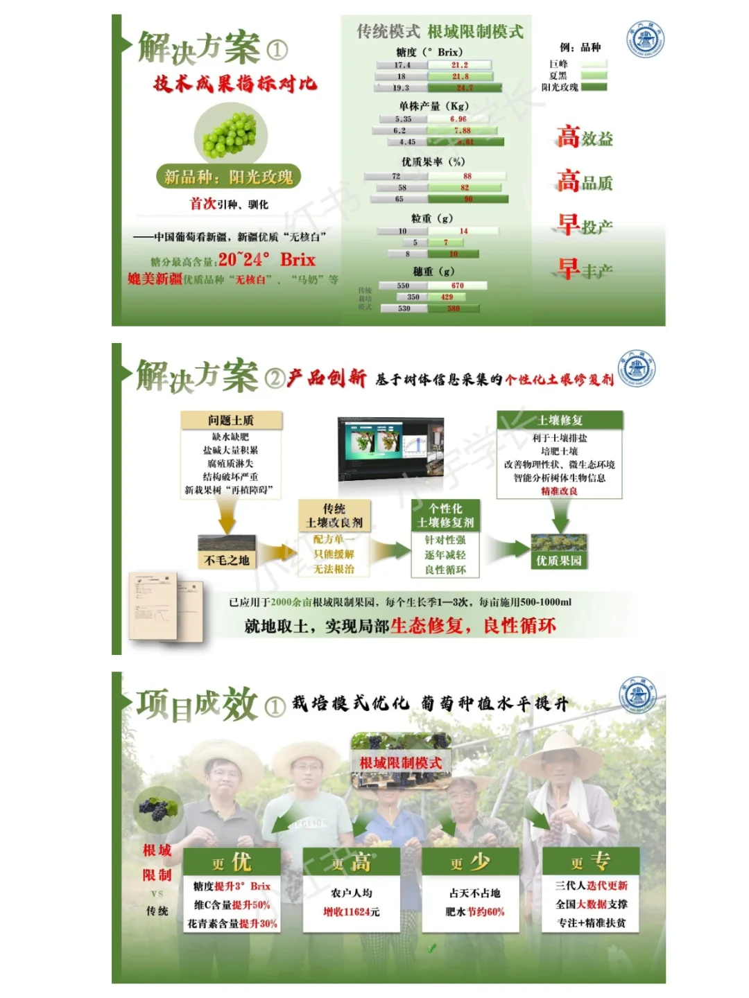 红旅赛道金奖项目｜国瑞葡?❗️