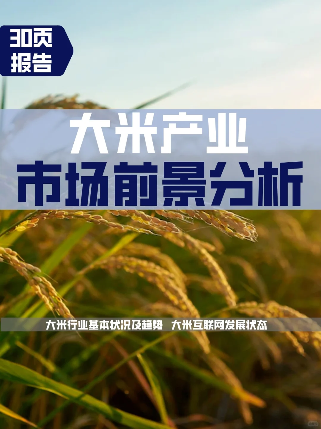 中国大米产业市场前景分析报告