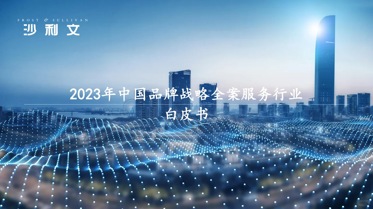 2023年中国品牌战略全案服务行业研究报告