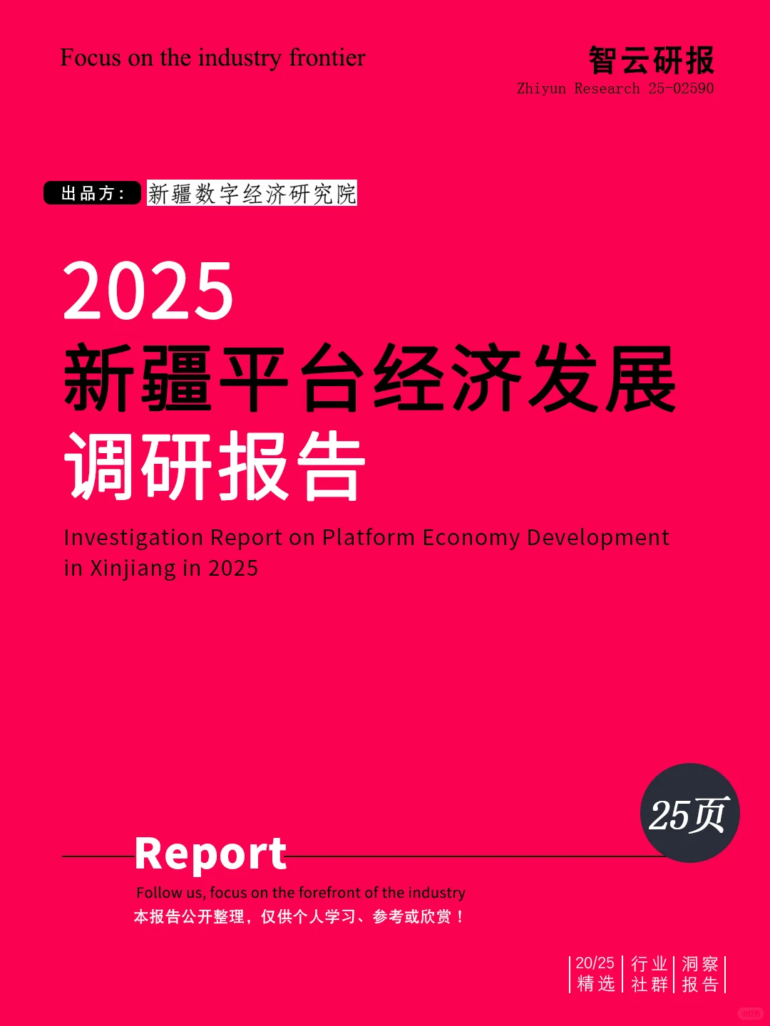 深度解读2025新疆平台经济发展调研报告