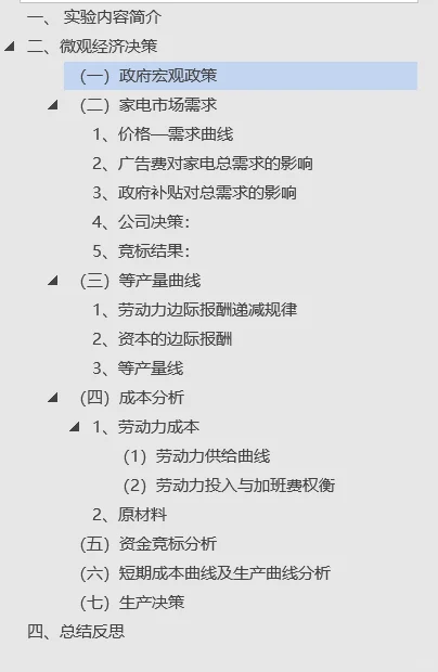 经济博弈实训报告（汽车家电适用模版）