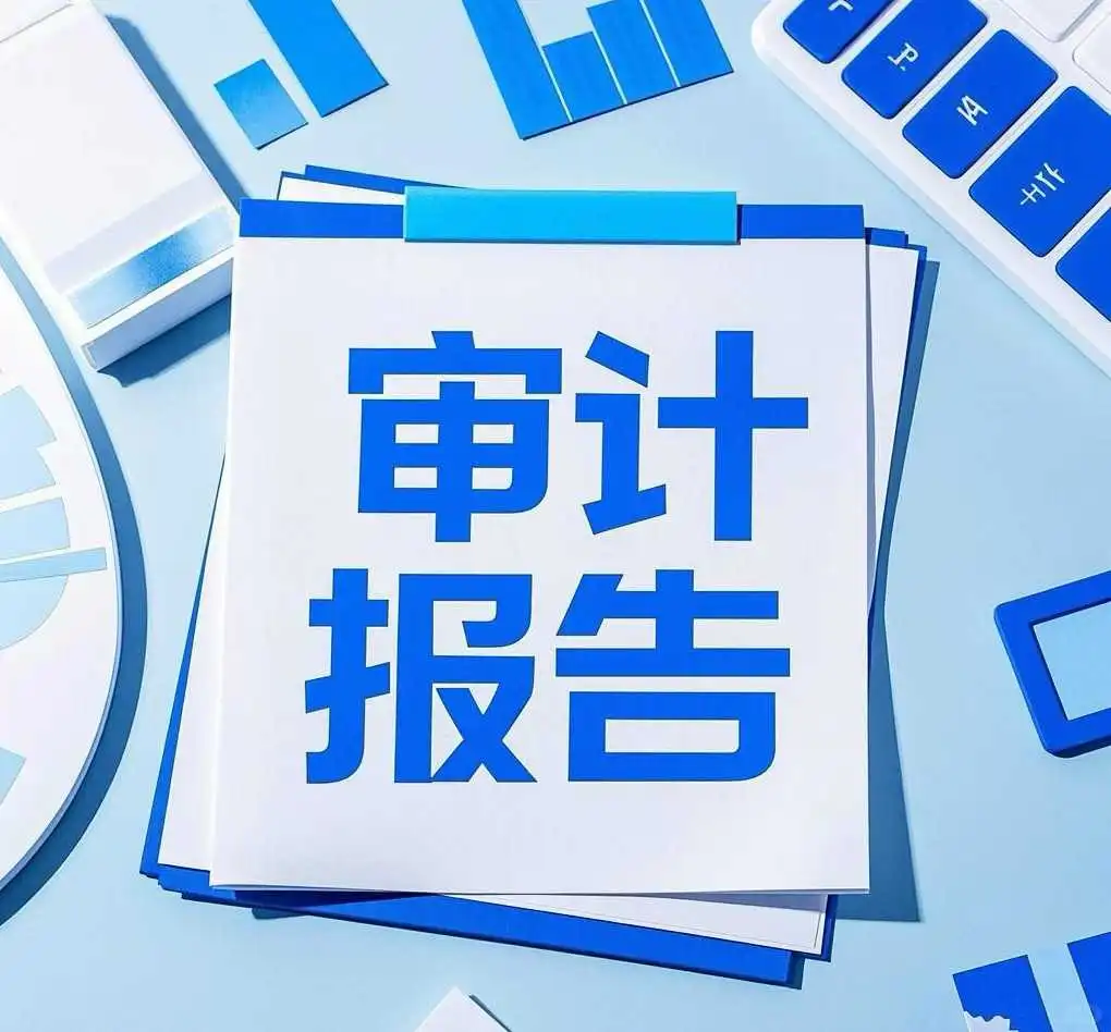 专业审计团队!企业合规 & 发展的定心丸