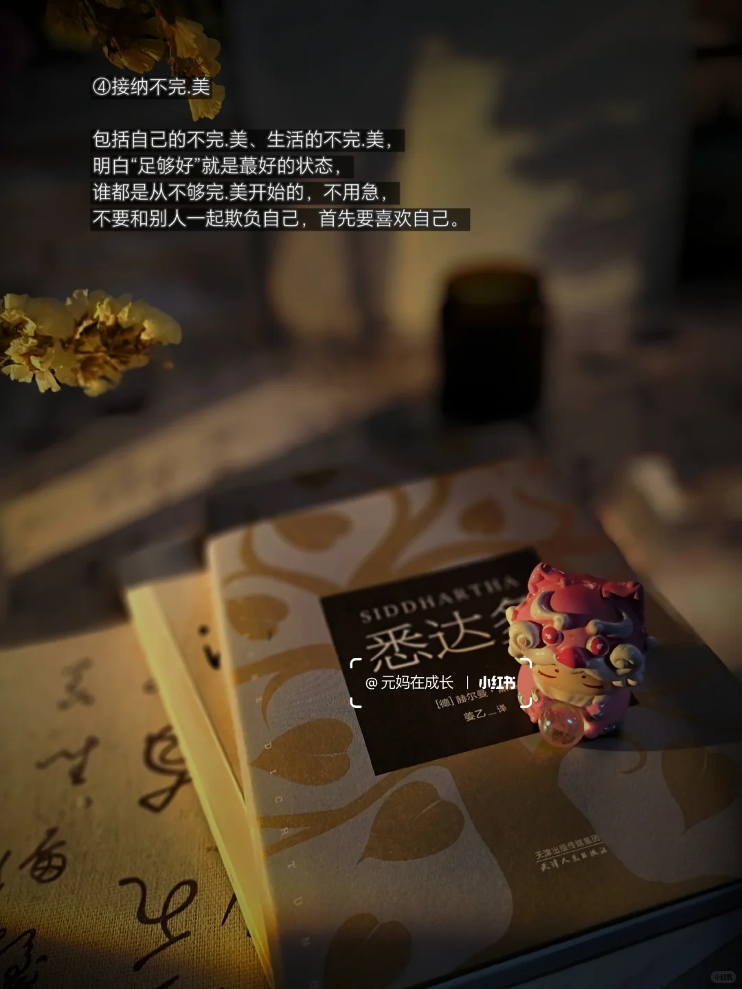 40岁了,人生下半场,可以比上半场更精彩