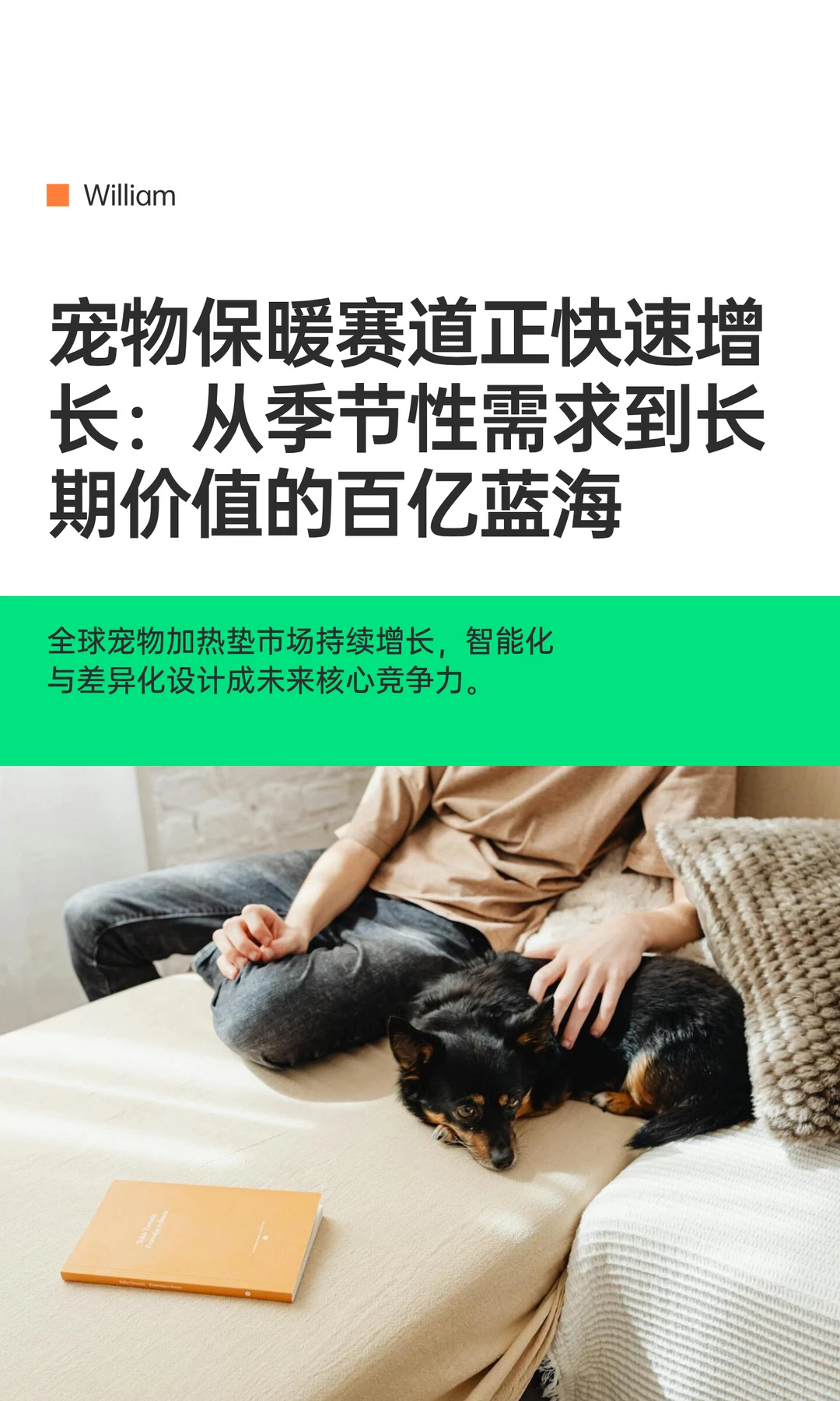宠物保暖赛道正快速增长：从季节性需求到长