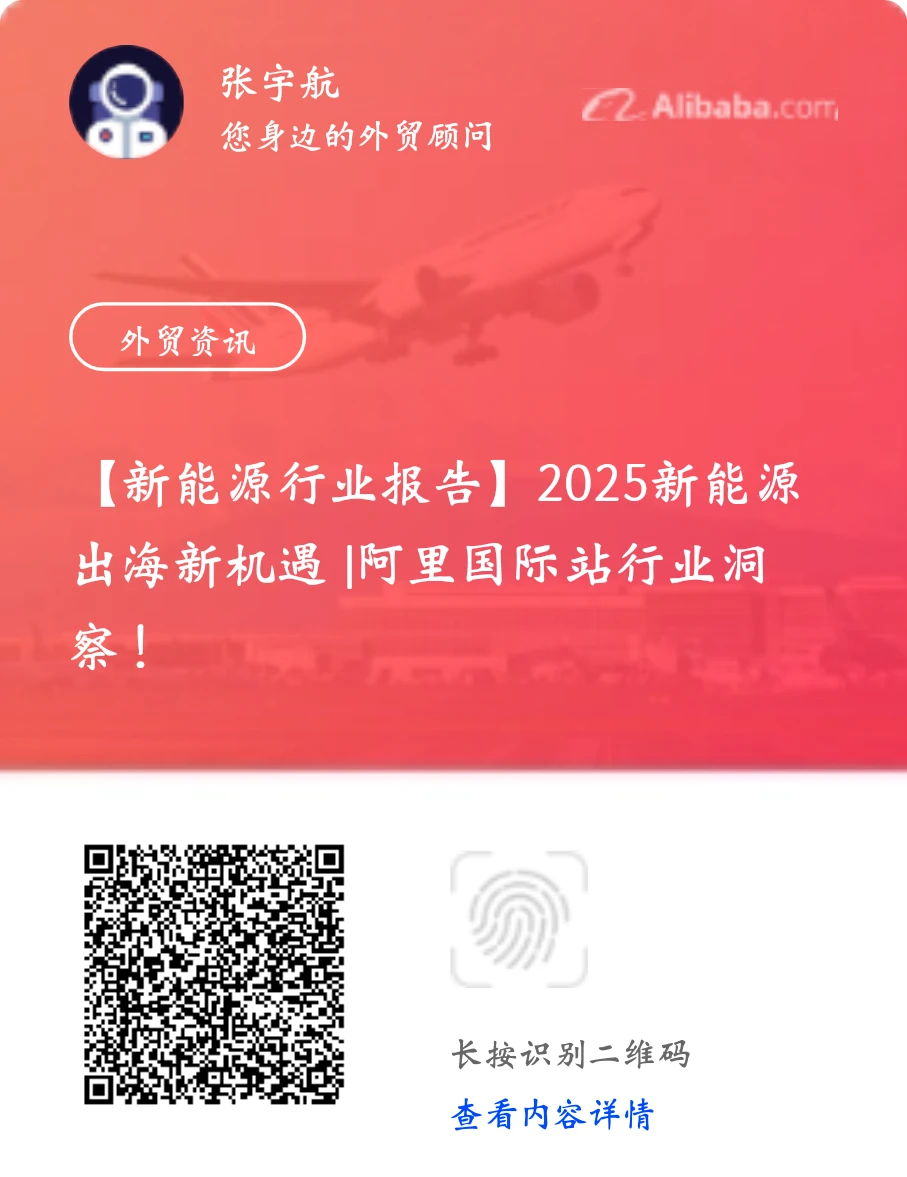 新能源外贸行业报告