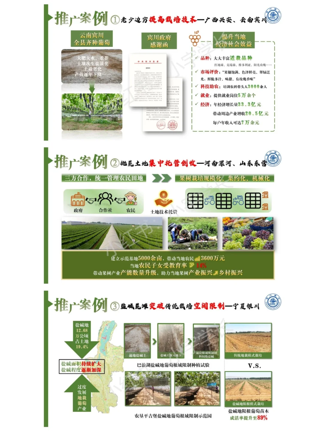 红旅赛道金奖项目｜国瑞葡?❗️