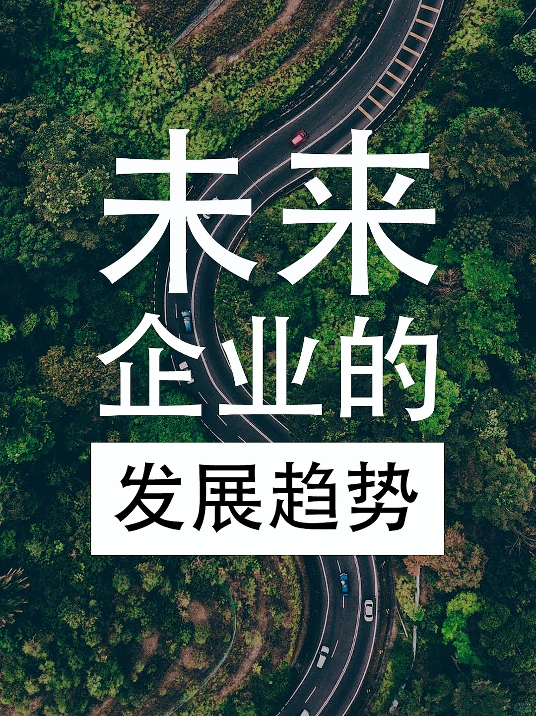 ?企业未来的发展趋势和战略方向是什么?