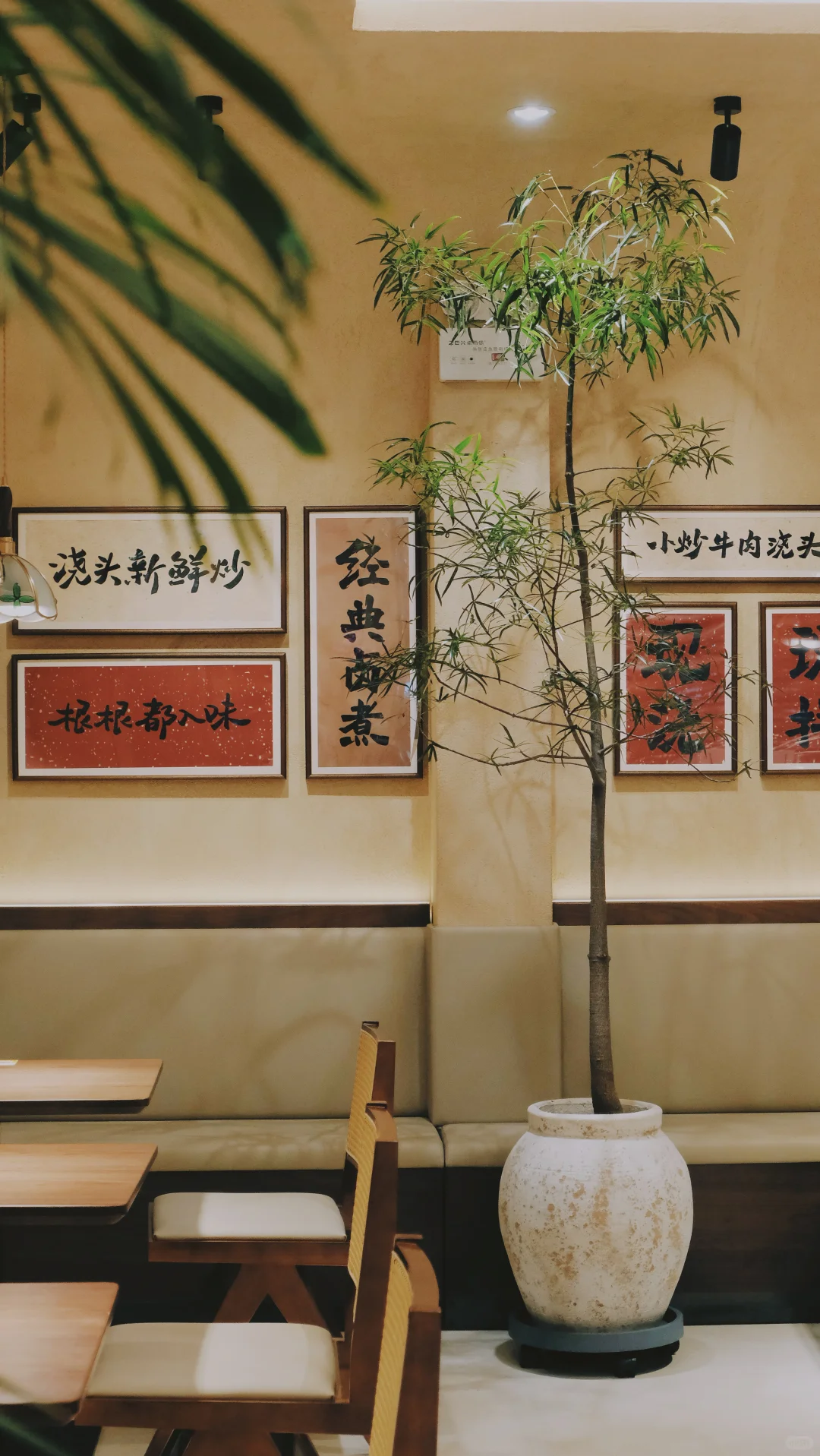 实际案例分析/绿植如何在商业空间中赋能