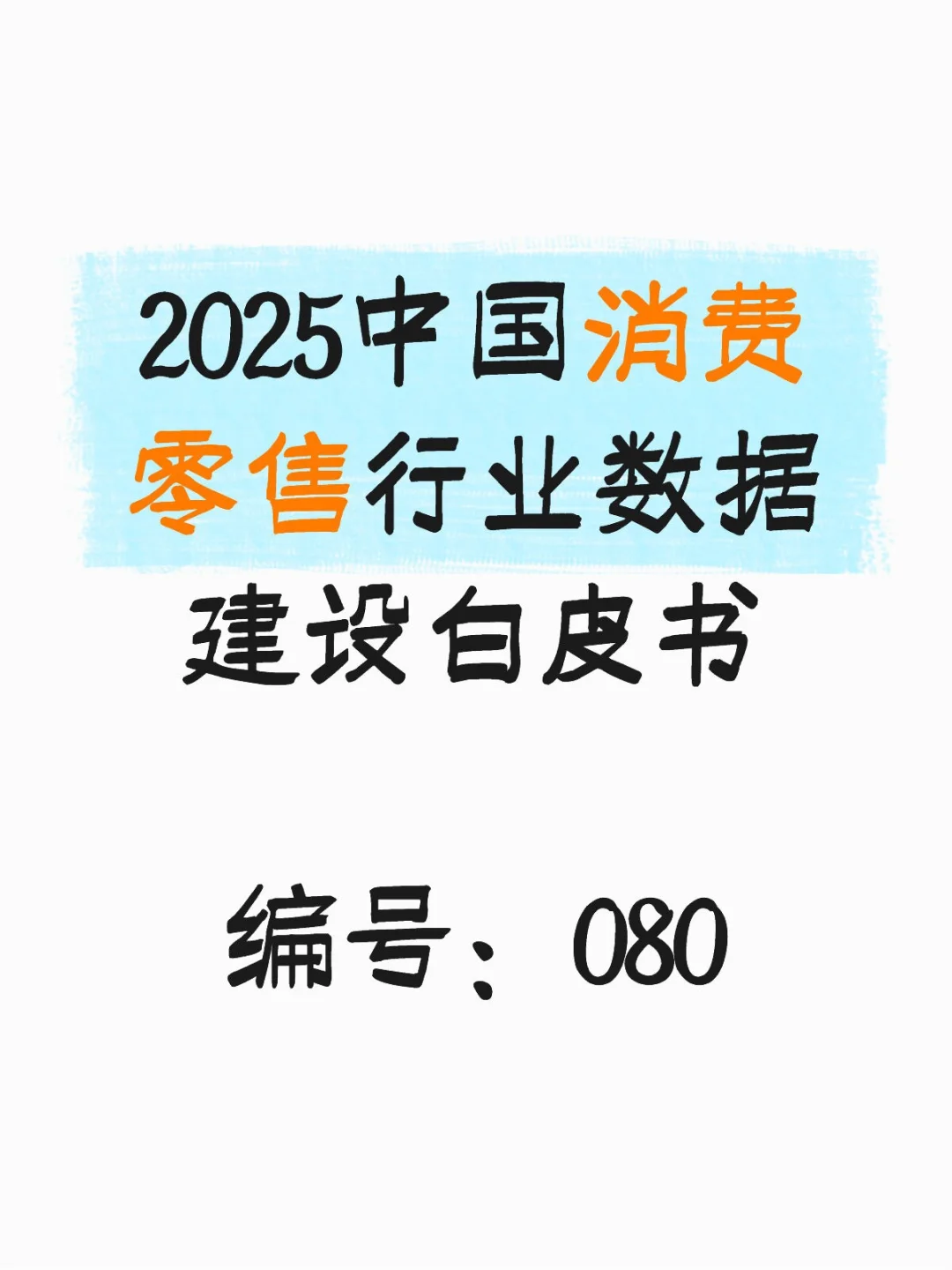 行业报告-2025消费零售行业数据建设白皮书