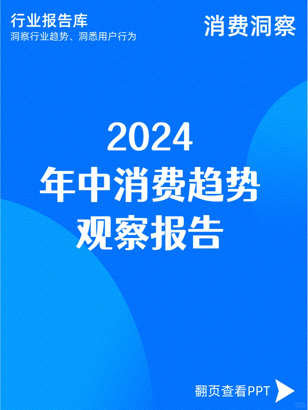 2024年中消费趋势观察报告