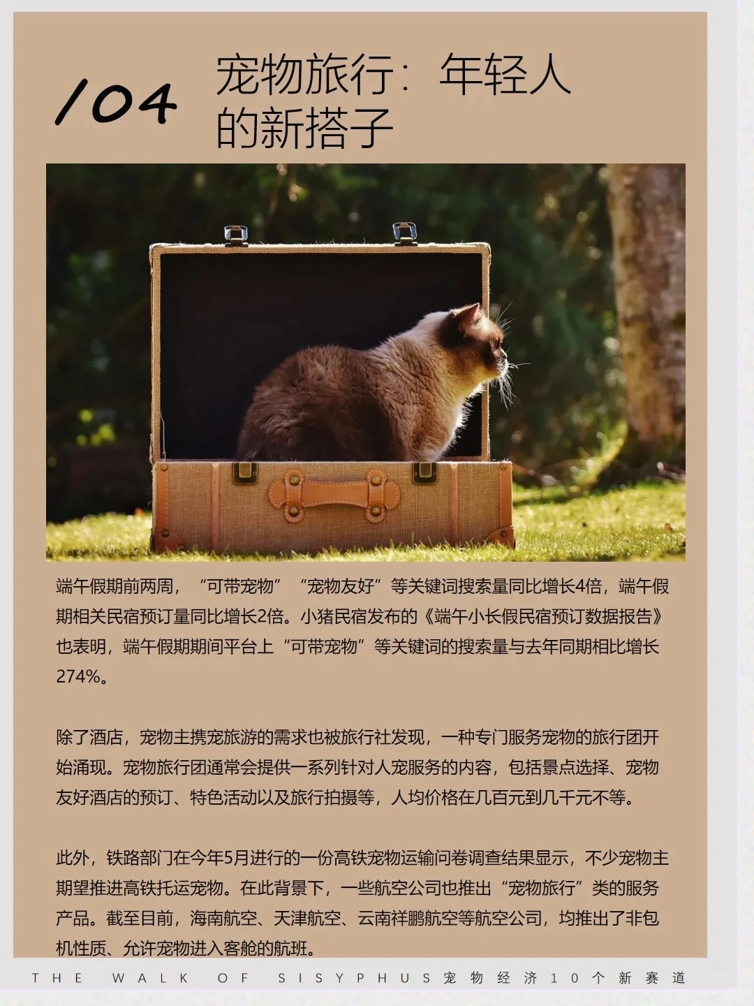 商业洞察|宠物10 个新赛道