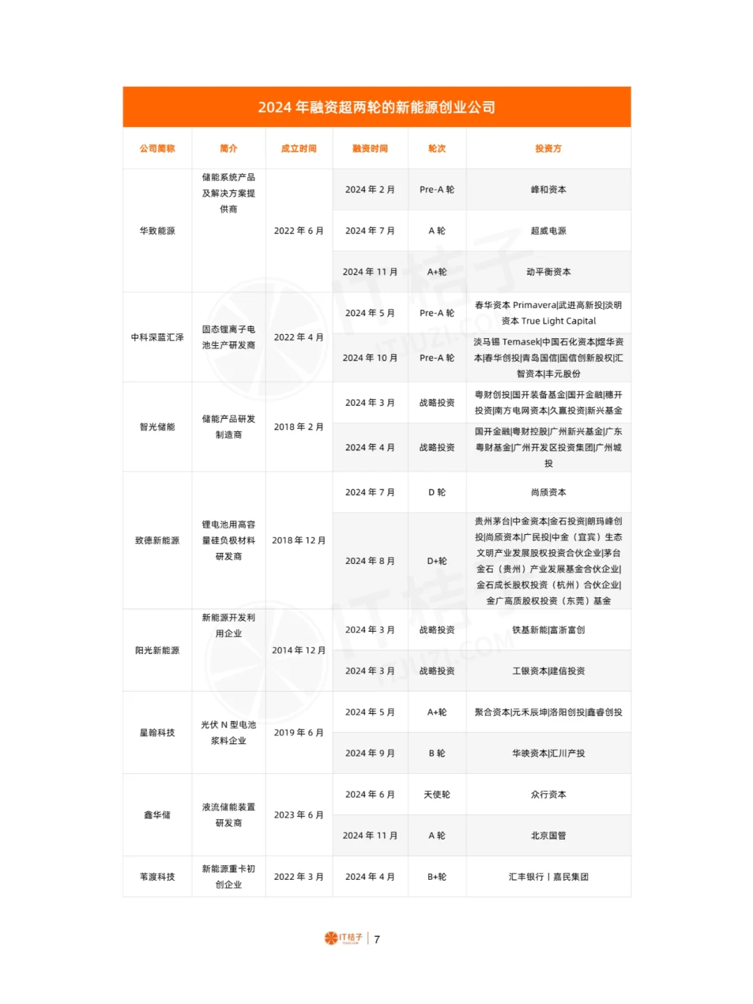 2024年中国新能源行业分析报告