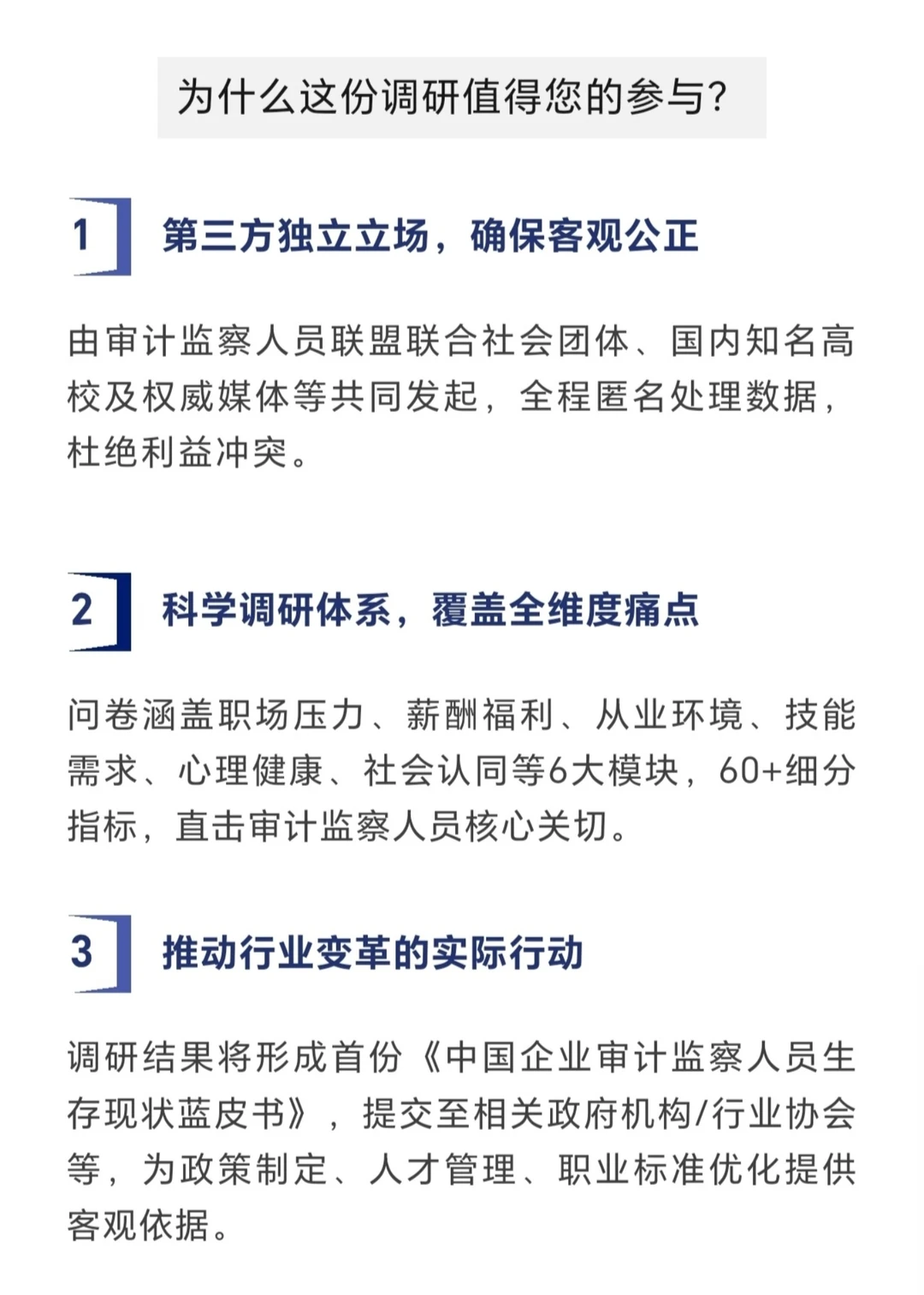 ?审计人速填!这份蓝皮书为你发声!