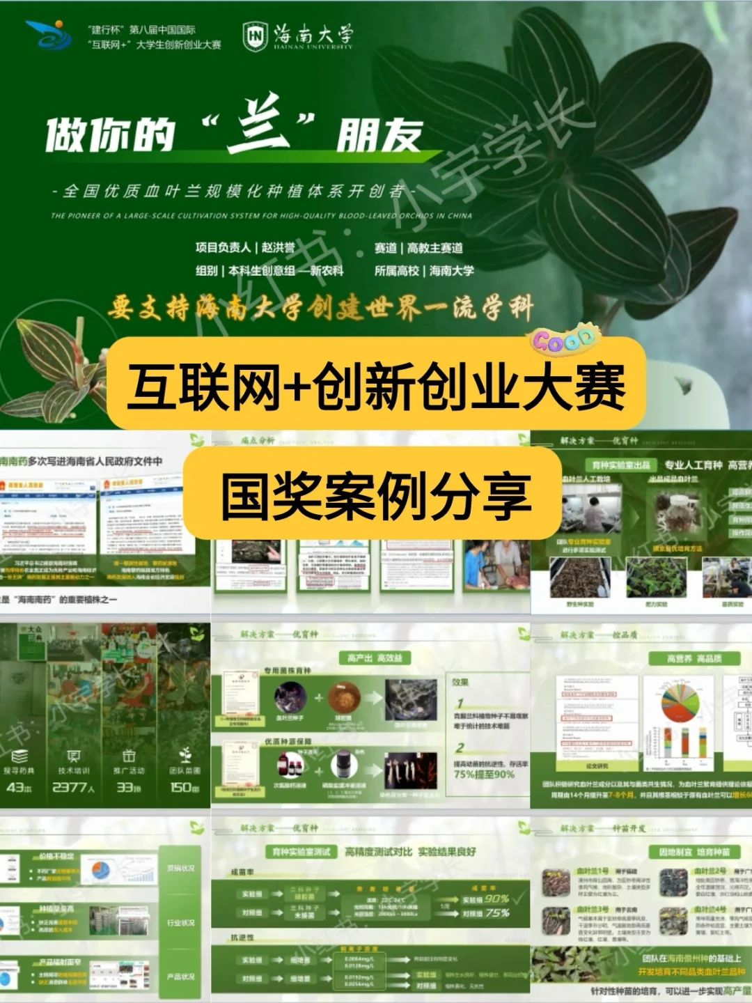 互联网+创新创业大赛国奖?案例分享